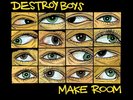 Destroy Boys Make Room (Vinyl)