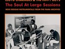 Lloyd -& The Hippy Boys- Charmers The Soul At Large Sessions (Vinyl) (UK IMPORT)
