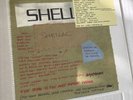 Shellac Punk Vinyl 7” The Bird Is The Most Popular Finger