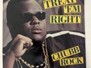 Chubb Rock – Treat 'Em Right | Vinyl | 1990 | FEP 9063 | EX/EX