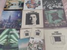 Liam Gallagher-Oasis-Noel Gallagher High Flying Birds (12 Vinyls Like New)
