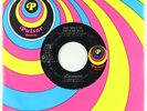 Funk 45 - Al Robinson - Sho 'Bout To Drive Me Wild - Pulsar VG+