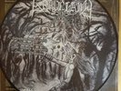Graveland - Carpathian Wolves - Picture LP