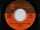 Northern Soul 45 - Blossoms - That's When The Tears Start - Reprise