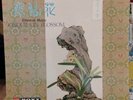 Cantonese LP. Fung Wah & His Group. Roxy Records CSLP-1002. Made In Hong Kong.