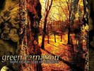 Light of Day Day of Darkness by Green Carnation (Record, 2016)
