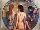 RARE  Pink Floyd - Rare Beauties (Vinyl, 2011, Picture Disc)