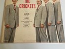 BUDDY HOLLY & THE CRICKETS SELF TITLED LP (1962) CORAL CRL 57405