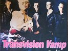 TRANSVISION VAMP 