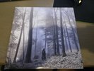 TAYLOR SWIFT - FOLKLORE Deluxe Edition - 2 LP 