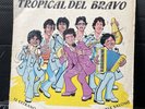 tropical del bravo / TE EXTRAÑO / Vinyl Record 33 Rpm
