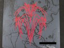 PUSHEAD Record 7 inch Color Vinyl Special Edition