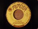 Joe Willie Wilkins & His King Biscuit Boys It's Too Bad/Mr. Downchild R&B, Blues