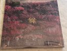 Sleep Token Even In Arcadia (Metallic Marble) Vinyl LP Hot Topic U.S. Exclusive