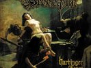 Brodequin - Harbinger Of Woe ++ LP ++ NEU