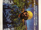 LONNIE LISTON SMITH VISIONS OF A NEW WOR FLYING DUTCHMAN BDL11196 US LP