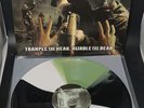 SKINLESS Trample The Weak, Hurdle The Dead Pinwheel Vinyl Ltd  (Brutal Truth)