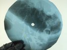 LED ZEPPELIN TANGERIN X-Ray USSR Record Roentgen Bone Ribs Music Vinyl
