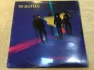 The Alley Cats Nightmare City OG 1981 Time Coast Punk LP SEALED