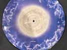 Whitesnake Picture Disc still of the Night 12EMIP 5606a