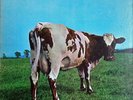 Pink Floyd - Atom Heart Mother 1975 LP, Album, RE, RP, Jac Harvest,Harvest SKAO-