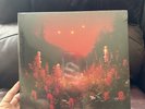 Silent Planet Superbloom Ghost Variant Vinyl - VIP Exclusive