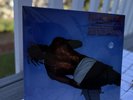 Travis Scott Days Before Rodeo Vinyl 2024 Release *SEALED MINT CONDITION*