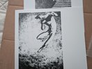 Thou Summit Vinyl