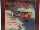 JOE WALSH 