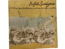 Buffalo Springfield SD2-806 Stereo Atco 1973 Vintage 2-Record Set Vinyl NM