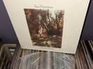 Van Morrison – Tupelo Honey  1983 WINCHESTER PRESS  lp  EX EX