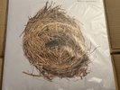A Ghost Is Born by Wilco, Import, Made in Germany, NEW, Unopened