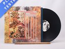 Skeletal Family Futile Combat A1 B1 LP Album Vinyl Record RED LP 57 - VG+/EX