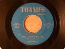 Montells You Can't Make Me/Daddy Rolling Stone RARE  Garage Punk 1966 Thames