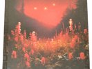 Silent Planet - Superbloom, Dimension Red Vinyl Record