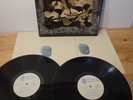 Memphis Swamp Jam Self Title Blue Thumb Record Promo Press Furry Lewis Double LP