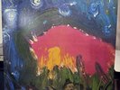 Meat Puppets II 1984 SST Records Vinyl LP SST 019 First Pressing + Insert RARE