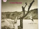 Tonton Macoute - Selftitled - Original UK RCA Gatefold LP - NE4 Great Copy