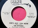 THE WITCHES - She's Got You Now / My Little Baby - Promo 45 rpm - Bang 505