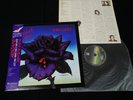 THIN LIZZY - BLACK ROSE A ROCK LEGEND - JAPAN VINYL LP OBI 17PP-2 EX-/EX