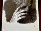 No. 5 Collaborations Project by Ed Sheeran (Record, 2017) NEW SEALED