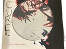 The Cure Bloodflowers Picture Disk RSD 2020