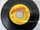 FUNK 45 RPM RECORD - LATTIMORE BROWN - Sweet Desiree/ I Will on RENEGADE 1201