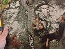 Orig '69  GREEN Self Titled s/t LP EX Psych (Atco SD 33-282) Atlantic 9185 IMP