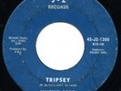 VINCENT ODDO RARE 45 Instrumental TRIPSEY (psych) / PLUM SONG (surf garage) HEAR
