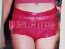 PEACHES - TEACHES OF PEACHES Vinyl LP 2011 US New