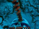 Pantera Far Beyond Driven (Vinyl)