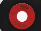 GARAGE ROCK bw/ TEEN 45- SHADOW RIVER EXPRESS- TO BE WITH YOU -HEAR BOTH-SHADOW