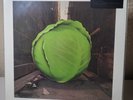 Cabbage Alley by Meters (Sealed & New)w/minor sleeve damage
