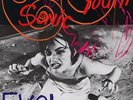 Evol Sonic Youth UK vinyl LP album record BFFP4 BLAST FIRST